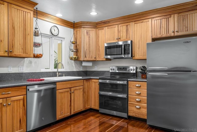 kitchen featuring dark wood-type flooring, stainless steel appliances, and sink