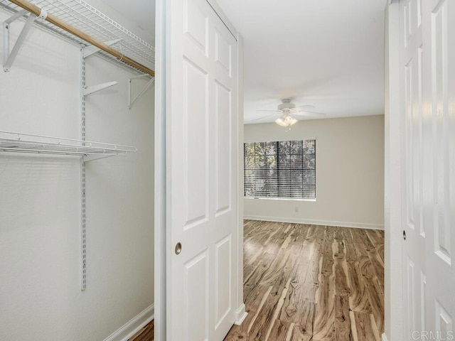 spacious closet featuring hardwood / wood-style flooring and ceiling fan