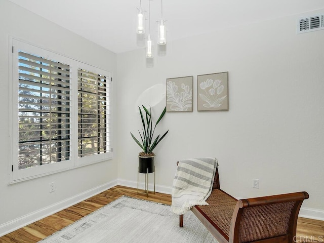 sitting room featuring hardwood / wood-style floors