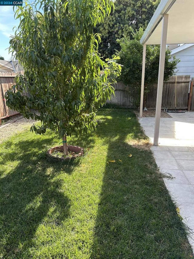 view of yard featuring a patio