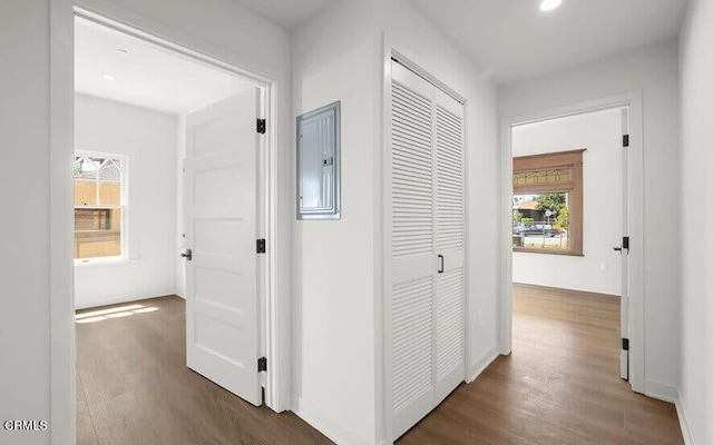 hallway featuring plenty of natural light, dark wood-type flooring, and electric panel