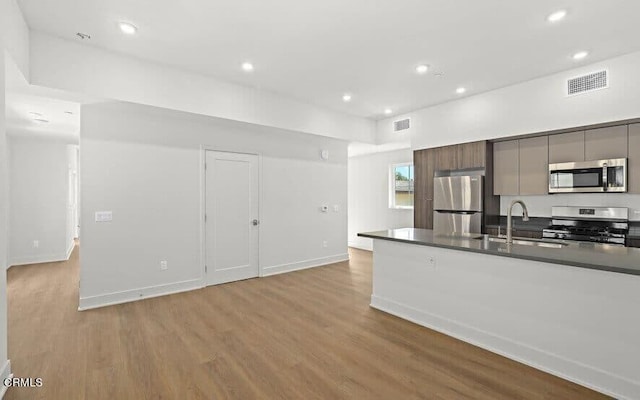 kitchen with sink, light hardwood / wood-style floors, and appliances with stainless steel finishes