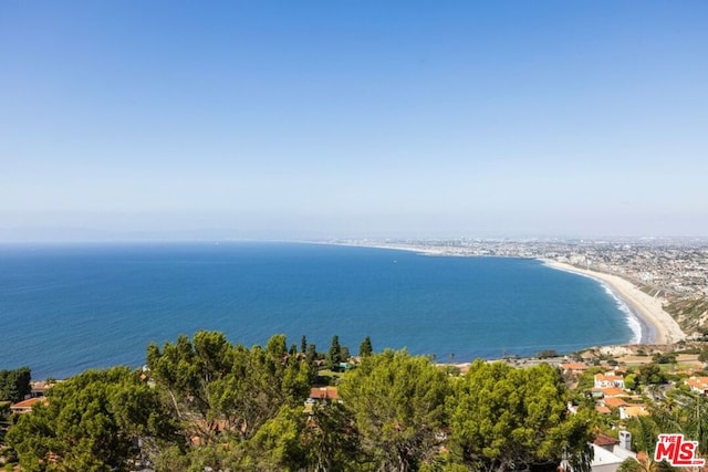 property view of water with a beach view