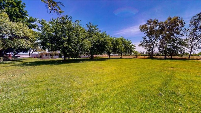 565 5th Ave, Orland, CA 95963 - view of yard