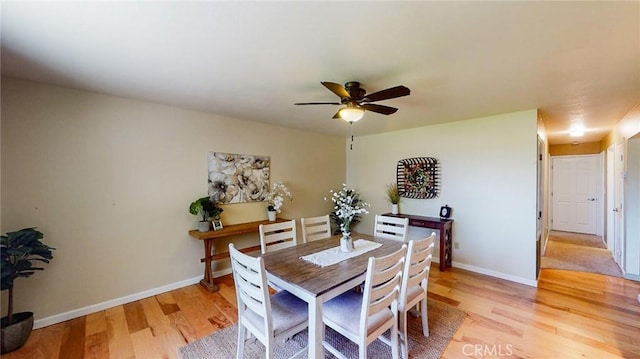 dining area with ceiling fan and light hardwood / wood-style floors