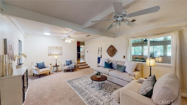 living area with carpet floors, stairs, and beam ceiling