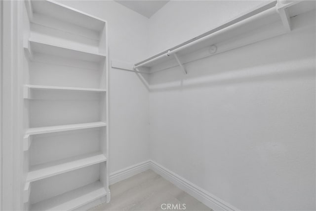 walk in closet featuring wood-type flooring