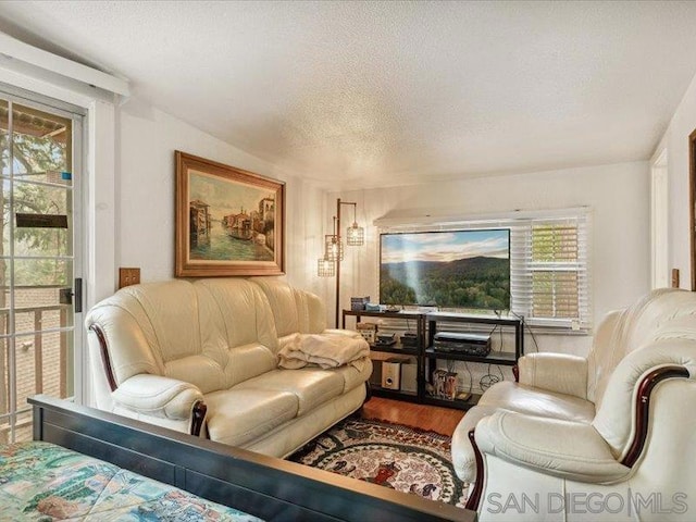 living room with hardwood / wood-style floors and a textured ceiling