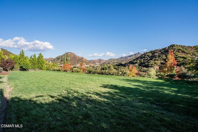 view of mountain feature