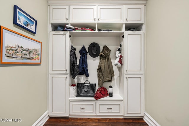 mudroom with dark wood-type flooring