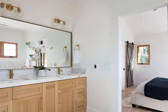 bathroom featuring hardwood / wood-style floors and vanity