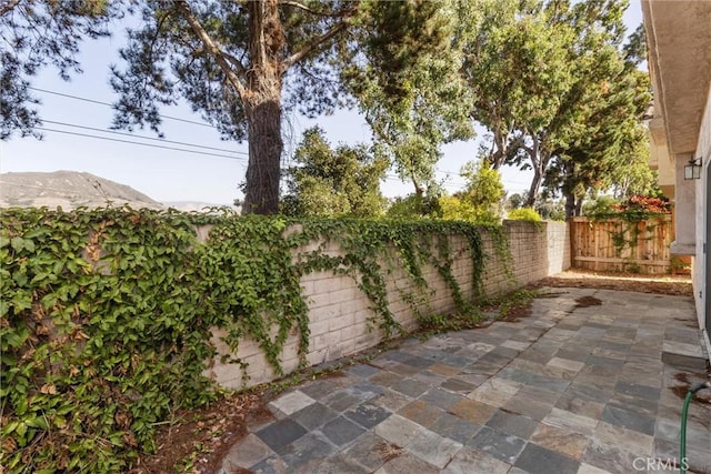 view of yard with a mountain view and a patio area