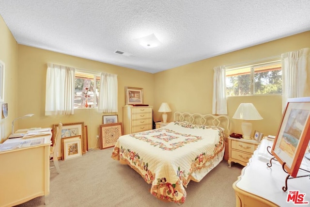 carpeted bedroom with a textured ceiling