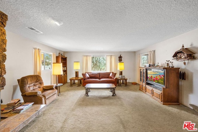 living room featuring a textured ceiling, carpet, and a wealth of natural light