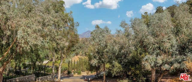 view of landscape featuring a mountain view