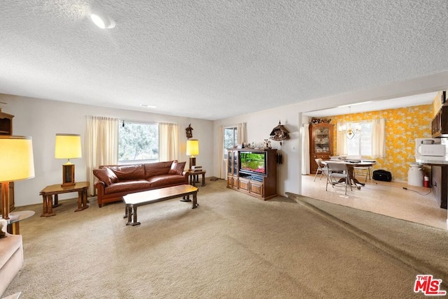 living room with carpet and a textured ceiling