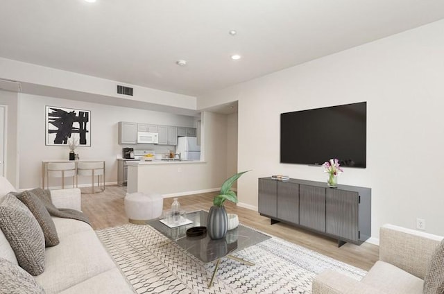 living room with light wood-type flooring