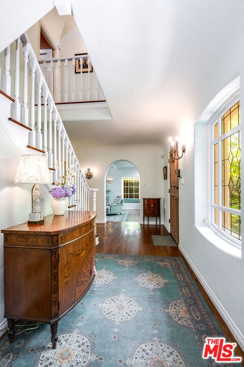 foyer featuring dark wood-type flooring