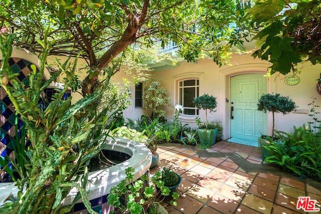 doorway to property featuring a patio