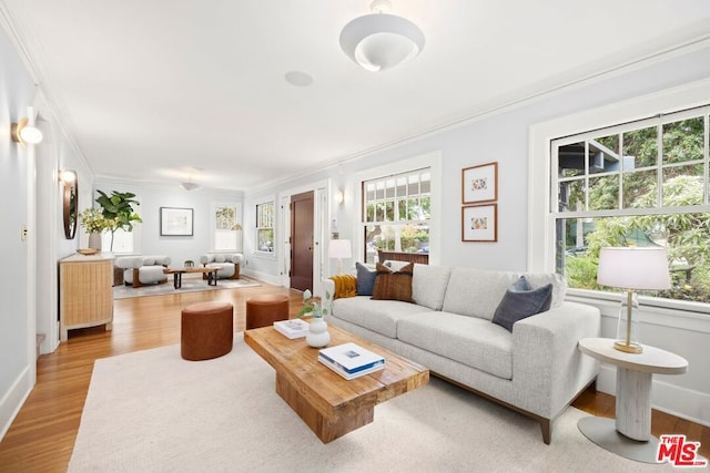 living room featuring crown molding and light hardwood / wood-style flooring