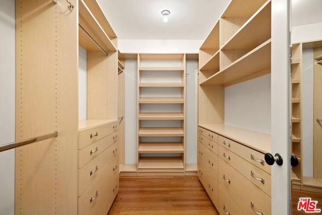 spacious closet with light wood-type flooring