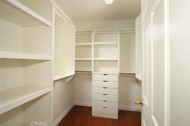 walk in closet with dark hardwood / wood-style flooring