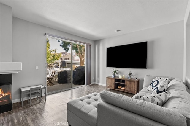 living room with wood-type flooring