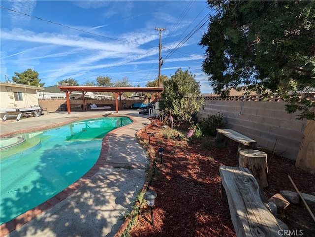 view of pool featuring a patio