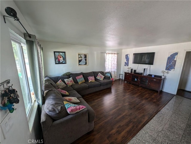 living room with a textured ceiling, dark wood-type flooring, and a healthy amount of sunlight