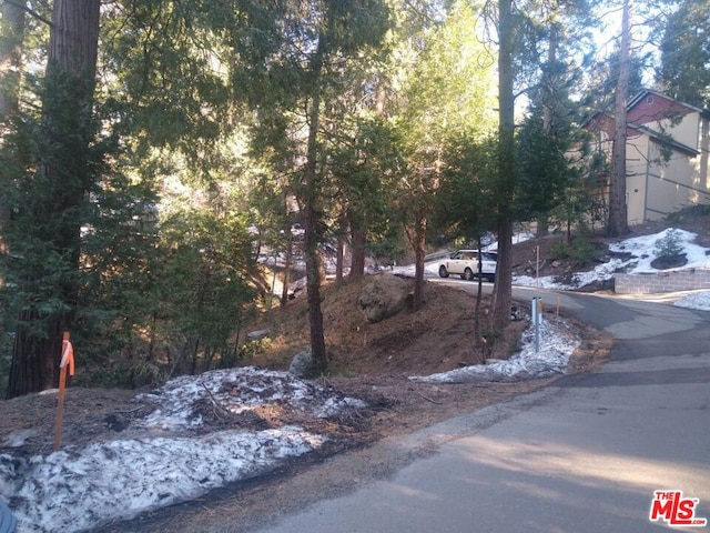 26274 Lake Forest Dr, Twin Peaks CA, 92391 land for sale