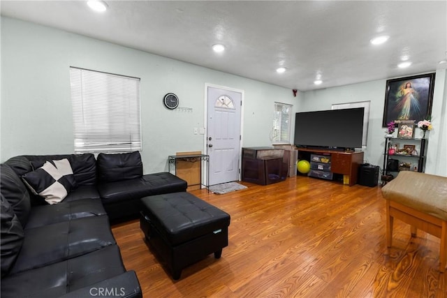 living room featuring hardwood / wood-style floors