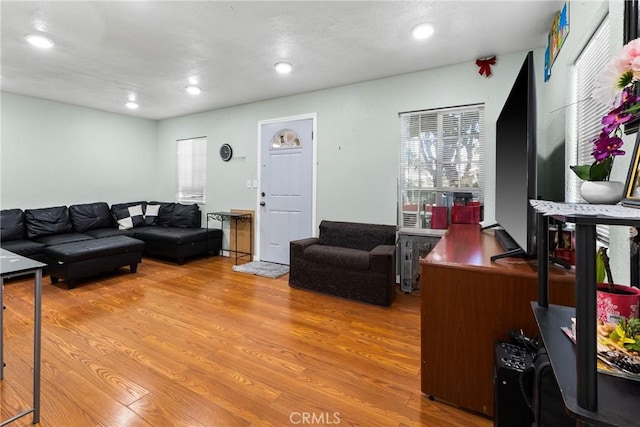 living room featuring light wood-type flooring