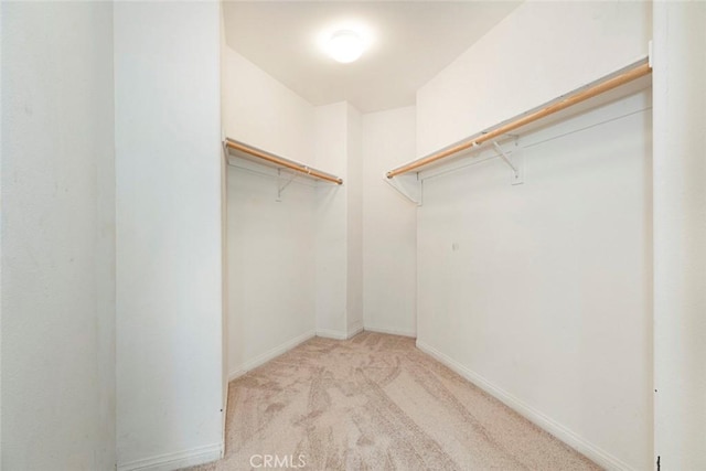 walk in closet with light colored carpet