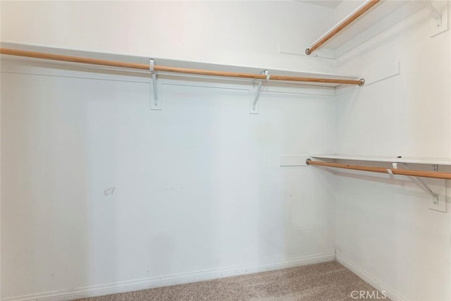 walk in closet featuring carpet