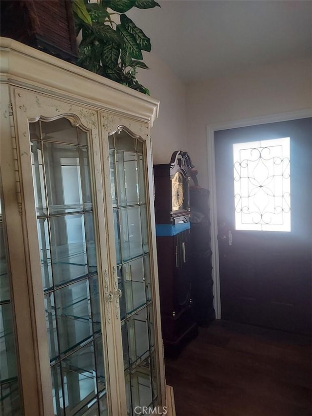 doorway to outside featuring wood-type flooring