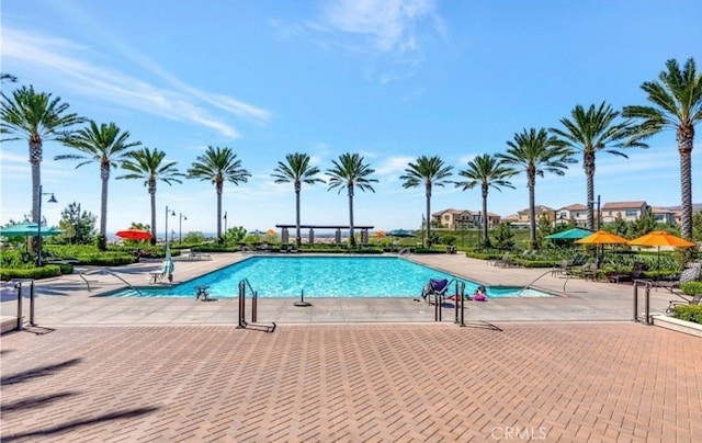 view of pool with a patio