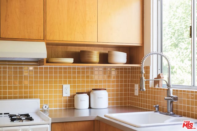 interior details featuring tasteful backsplash, sink, and white stove