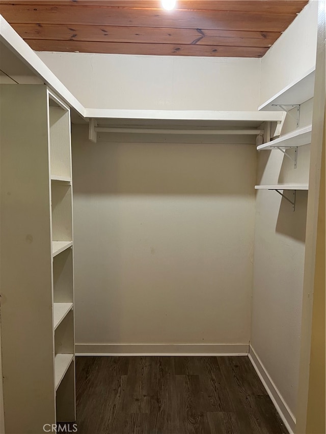 spacious closet featuring dark hardwood / wood-style flooring