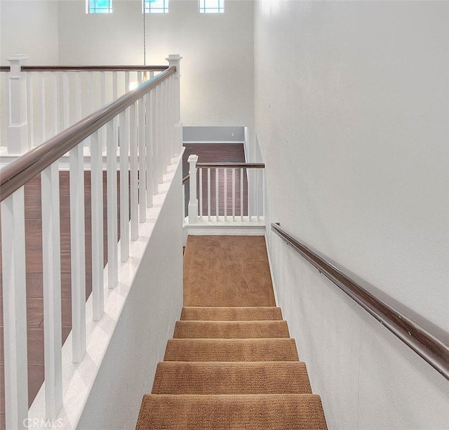 stairs with carpet flooring