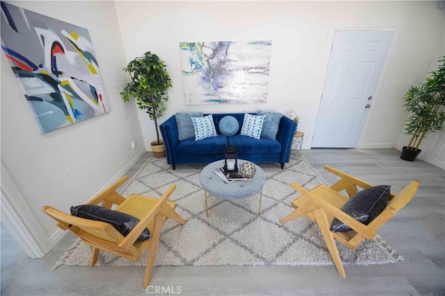 living room featuring hardwood / wood-style flooring