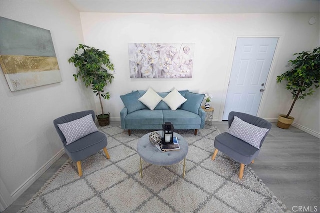 living room with hardwood / wood-style flooring