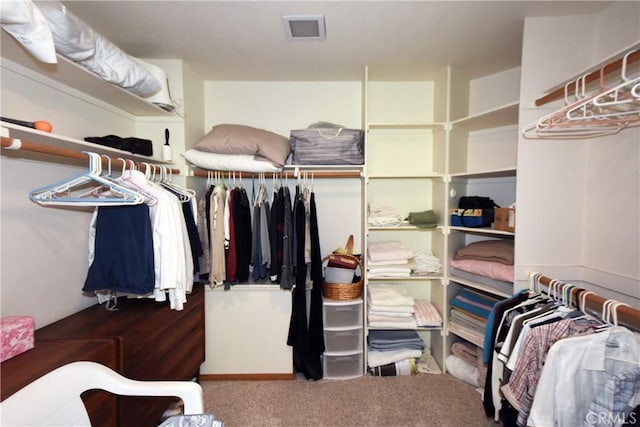 walk in closet with carpet