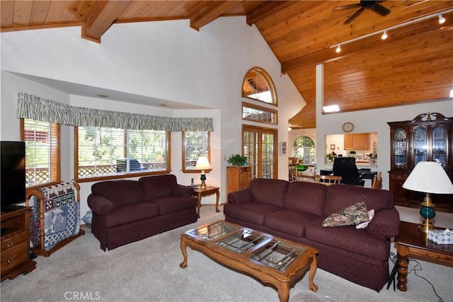 carpeted living room with rail lighting, ceiling fan, a healthy amount of sunlight, and wooden ceiling