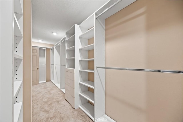 spacious closet featuring light carpet