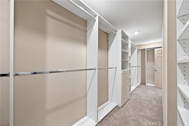 walk in closet with light carpet