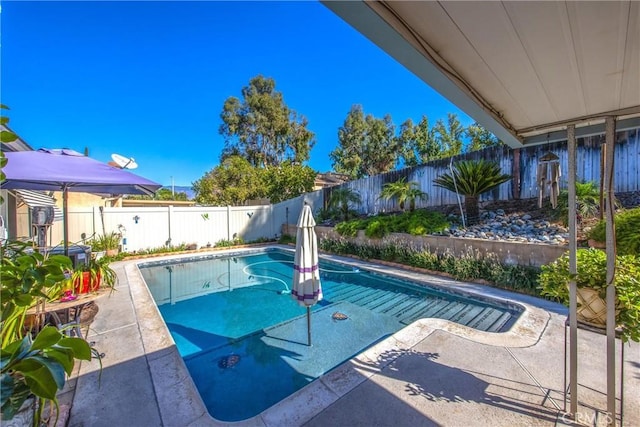 view of swimming pool featuring a patio