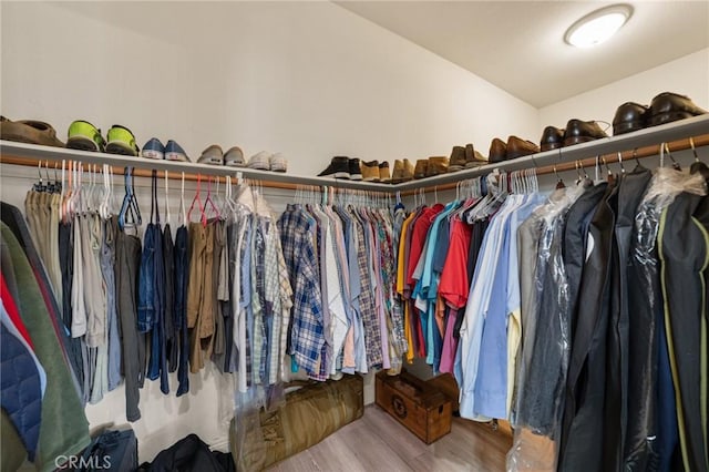 walk in closet with wood-type flooring