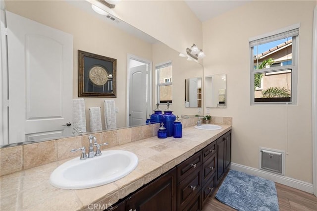 bathroom featuring hardwood / wood-style floors and vanity