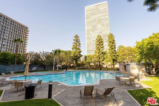 view of swimming pool with a patio area