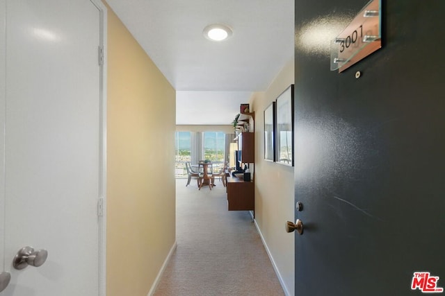 hallway with light carpet